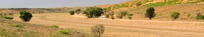 Grootdrink Accommodation, Kalahari & Diamond Fields