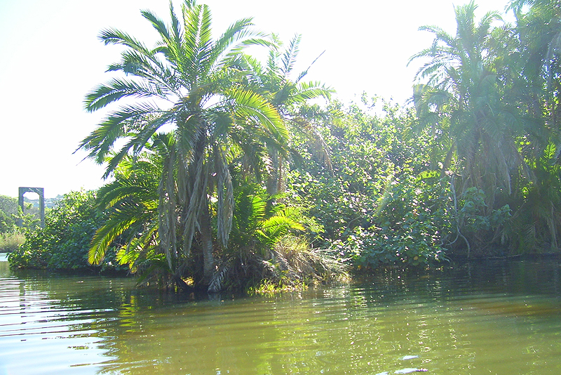 84 Anchors Aweigh Hibberdene Verblyf.