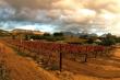 3/20 - MooiBly self catering thatched cottages in Paarl