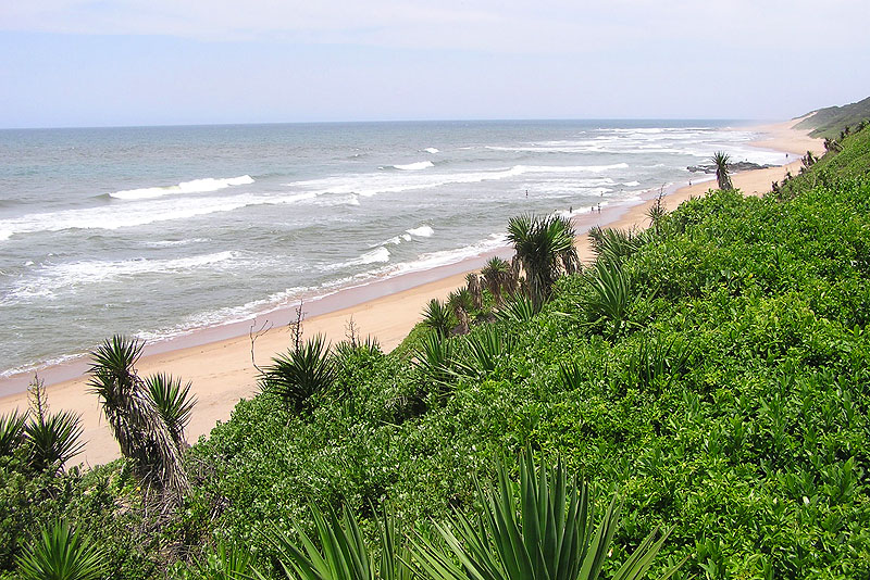 Nautilhouse Zinkwazi Beach