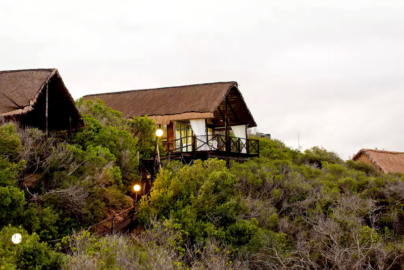 Paradise Dunes - Tofo Beach Accommodation.