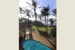 25/28 - Palm Sands garden and pool