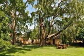 9/44 - Lots of shade - Rietpoort Game and Guest Farm