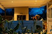 84/105 - Isaks Eden - Self Catering