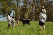 103/105 - Oakhurst Farm Cottages - Activities