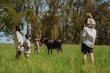 103/105 - Oakhurst Farm Cottages - Activities