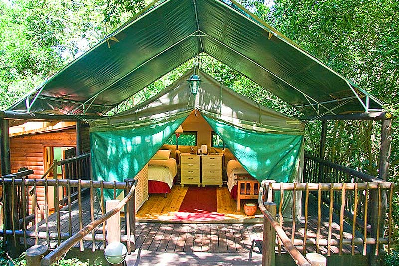 thandulula luxury safari tent accommodation