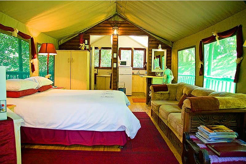 Thandulula Luxury Safari Tent 