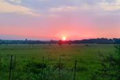 2/24 - Ma-Ria's Farmhouse - Self Catering Magaliesburg