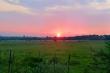 2/24 - Ma-Ria's Farmhouse - Self Catering Magaliesburg