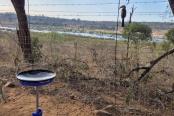 26/29 - Marloth Park riverfront breakfast picnic