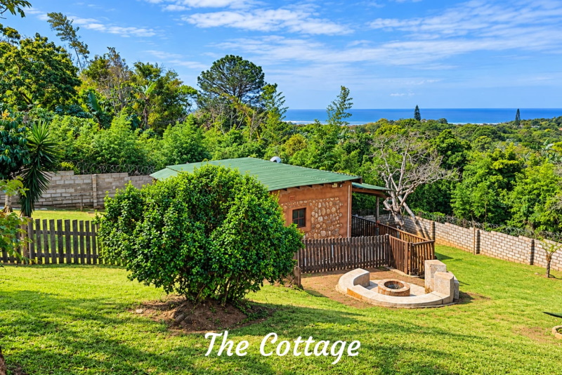 20 of 24
