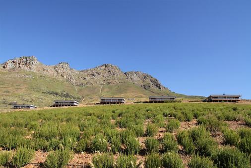 Big Sky Cottages