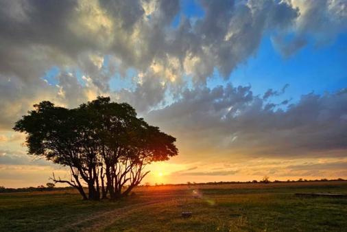 Kokoriba Guest Farm - Vaalwater Accommodation.