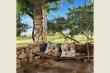 26/66 - Klipspringer Cottage - Self catering in Ceres