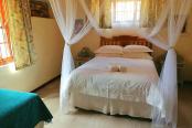 34/66 - Mountain Spring Cottage - Self catering in Ceres